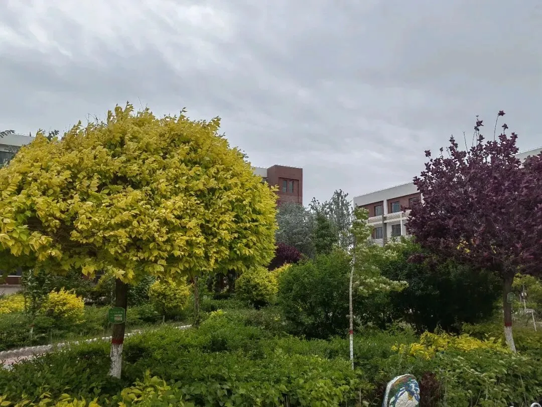 甘肃省初中英语中考常考感叹句知识点及真题 第1张