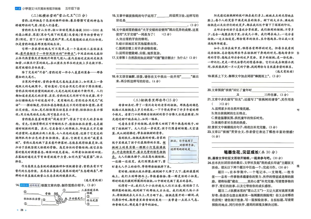 五年级下册 小语15天期末冲刺丨做真题·模拟考场·考前预测 第3张