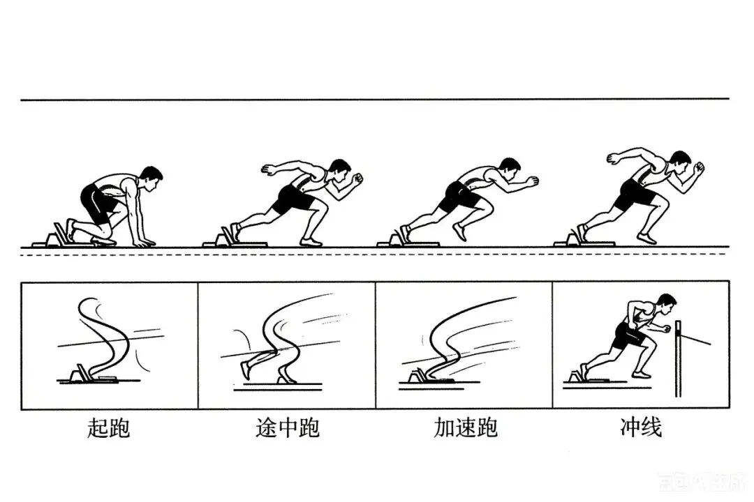 【中考体育】中考体育新政下,给家长的全景解读与行动指南 第3张 【中考体育】中考体育新政下,给家长的全景解读与行动指南 第3张