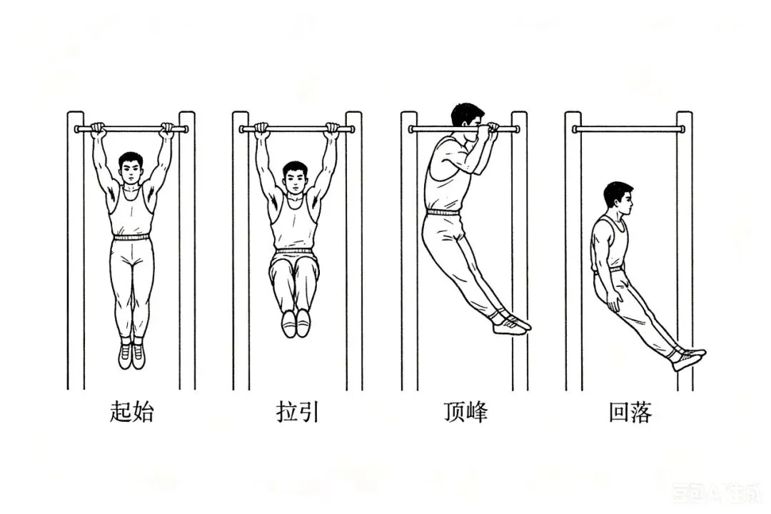 【中考体育】中考体育新政下,给家长的全景解读与行动指南 第4张 【中考体育】中考体育新政下,给家长的全景解读与行动指南 第4张