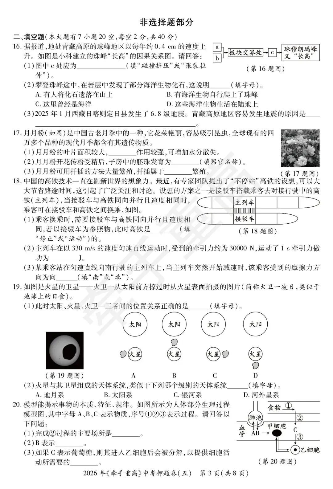 牵手重高2026年中考科学押题卷5(正文+答案+答题卷)初三必刷! 第6张