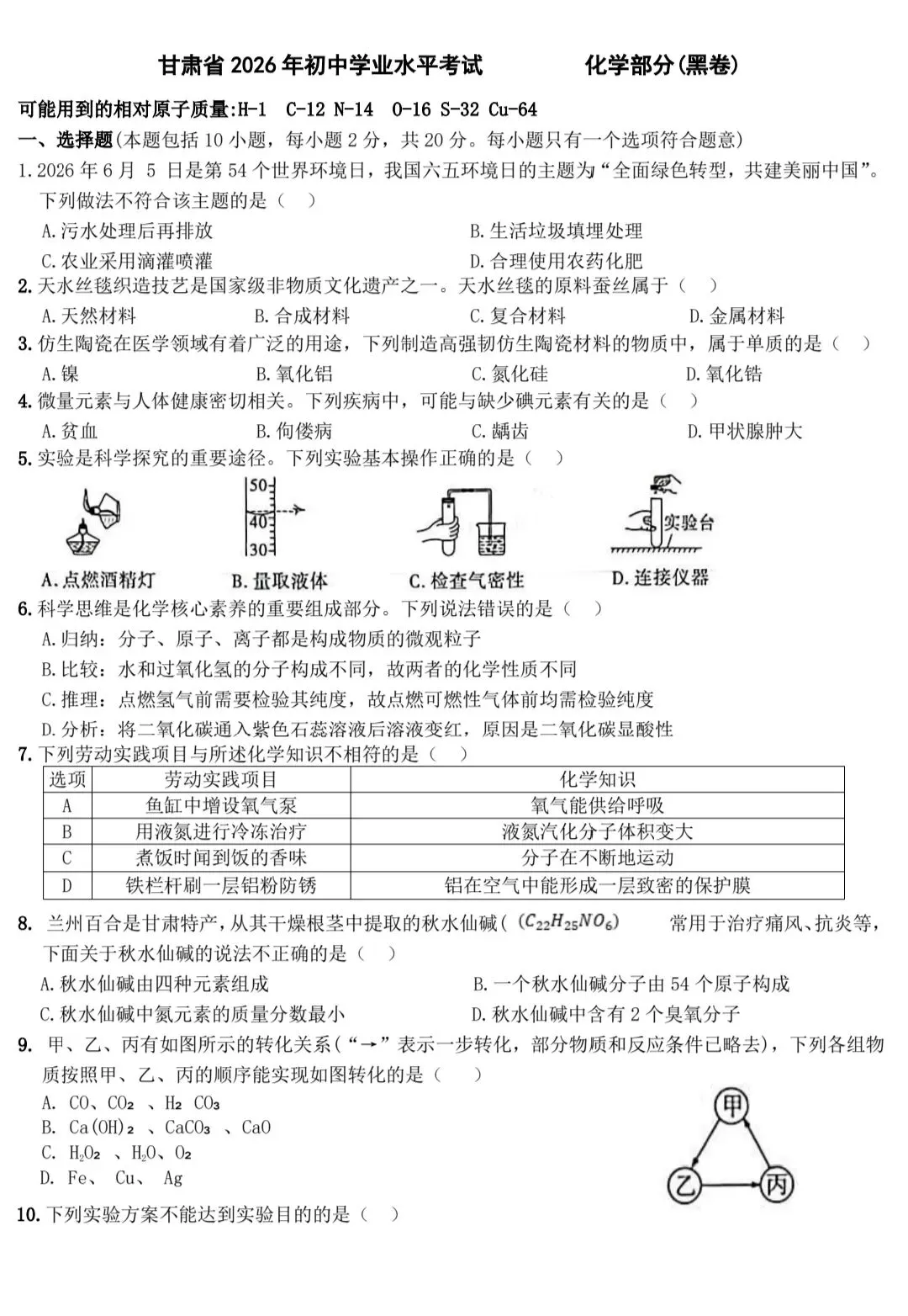 人教版九年级化学中考模拟试卷(黑卷) 第1张