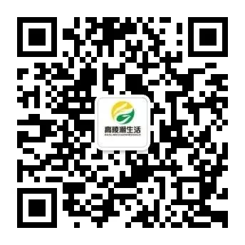 @高陵人 关于加强2026年高、中考期间噪声污染管控的公告 第2张