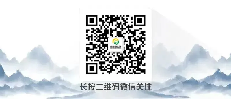 @高陵人 关于加强2026年高、中考期间噪声污染管控的公告 第6张