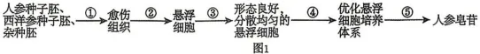 2026年哈尔滨市高三第一次模拟考试生物学试题和答案(附word下载) ⊙ 第10张