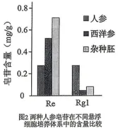 2026年哈尔滨市高三第一次模拟考试生物学试题和答案(附word下载) ⊙ 第11张