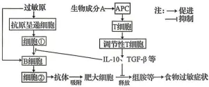 2026年哈尔滨市高三第一次模拟考试生物学试题和答案(附word下载) ⊙ 第13张