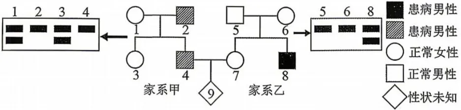 2026年哈尔滨市高三第一次模拟考试生物学试题和答案(附word下载) ⊙ 第16张