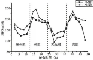 2026年哈尔滨市高三第一次模拟考试生物学试题和答案(附word下载) ⊙ 第17张