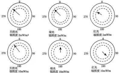 2026年哈尔滨市高三第一次模拟考试生物学试题和答案(附word下载) ⊙ 第18张