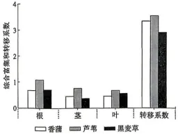 2026年哈尔滨市高三第一次模拟考试生物学试题和答案(附word下载) ⊙ 第22张