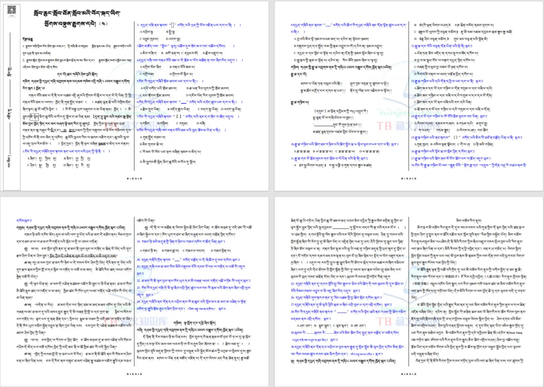 六年级藏语文模拟题4(试卷+答题卡+答案)༢༠༢༦ལོའི་བོད་ཡིག་ཆུང་རྒྱུགས་རྒྱུགས་དཔེ་༤ 第8张