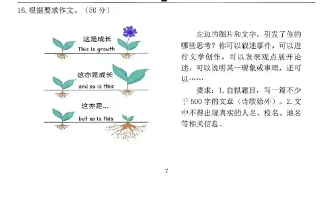 中考模拟卷作文15:关于“这也是成长”的话题 第1张