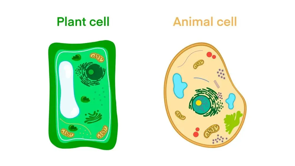 八下生物中考押题预测卷(三)及答案详解 第1张