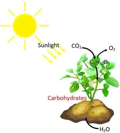 八下生物中考押题预测卷(三)及答案详解 第3张