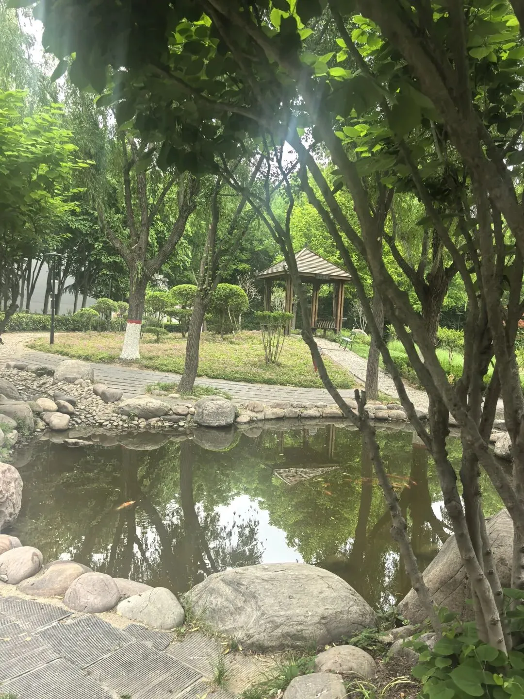 (摒弃杂念,专注中考)——第二十二封家书 第5张 (摒弃杂念,专注中考)——第二十二封家书 第5张