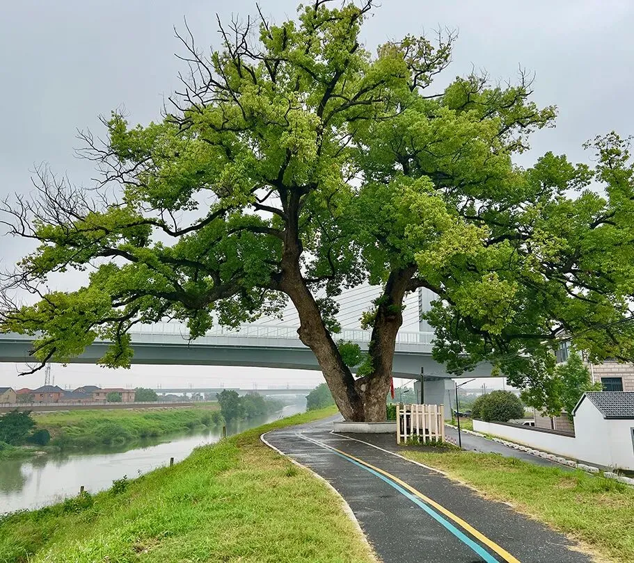 治愈放松之旅丨中考/高考收官啦!盛夏风景绝美,毕业假期时光,约上亲友一起奔赴远方 第1张 治愈放松之旅丨中考/高考收官啦!盛夏风景绝美,毕业假期时光,约上亲友一起奔赴远方 第1张