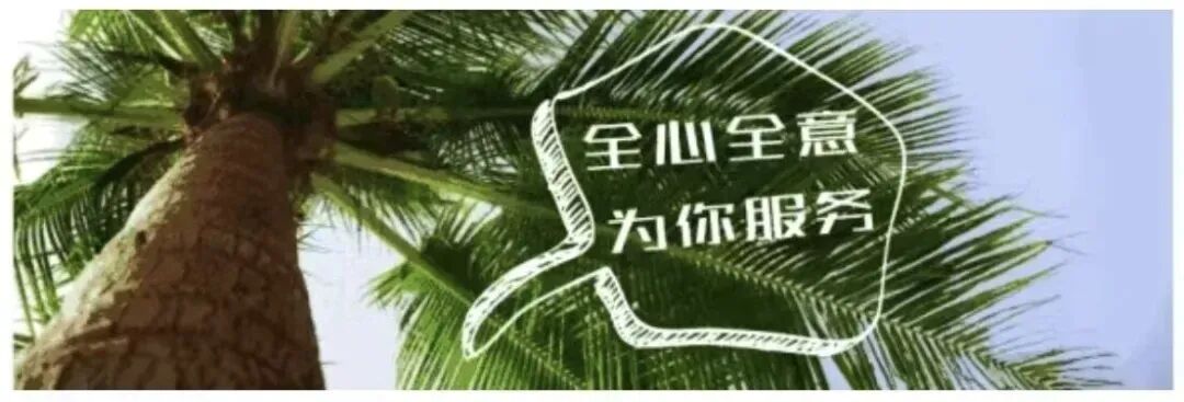 2026年上半年四六级模拟考试邀约 第1张