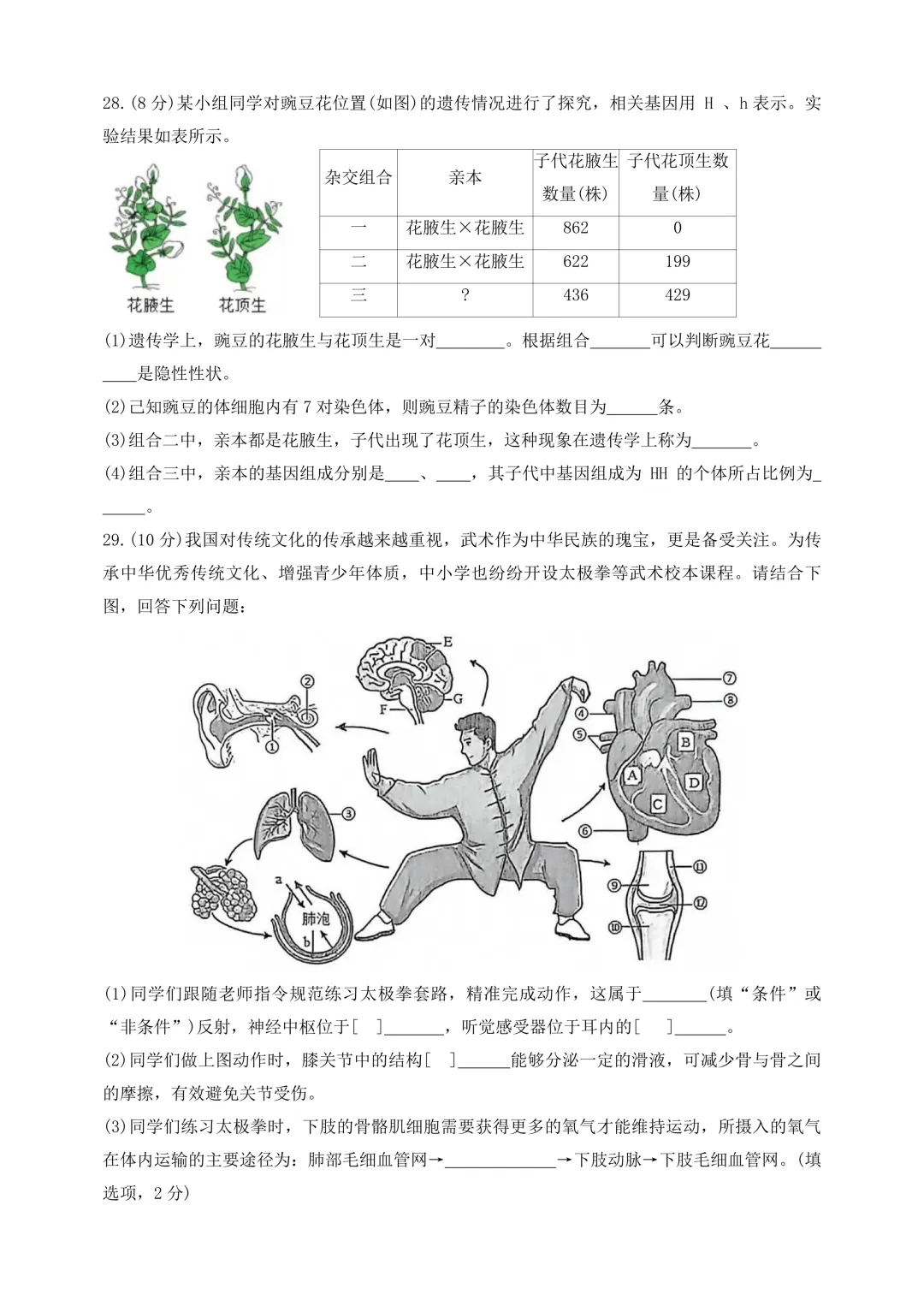 复习练手 ︳2026年湖南省初中学业水平考试模拟试卷生物学 (八) 第7张