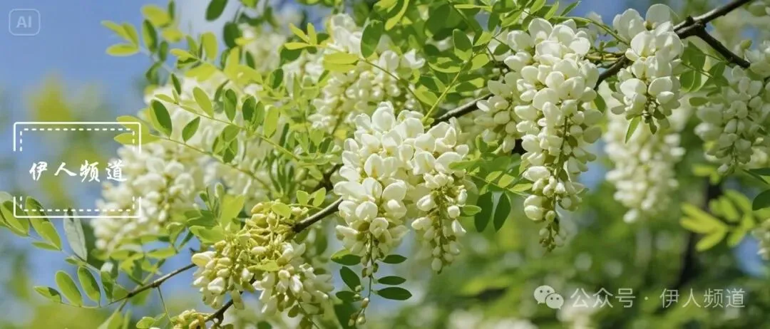 中考历史复习:新质生产力 第2张