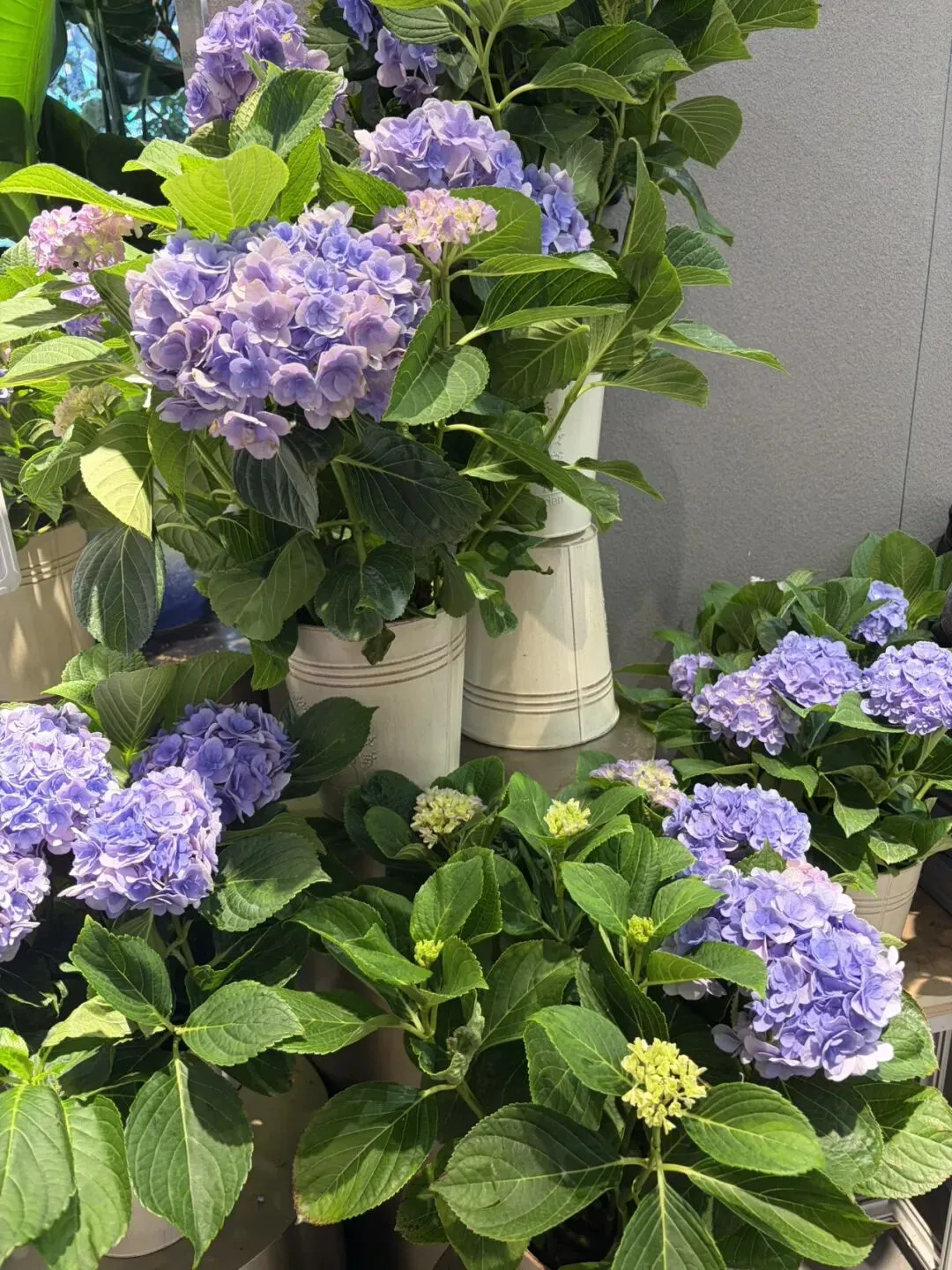 ||中考倒计时25天 周末愉快 第2张 ||中考倒计时25天 周末愉快 第2张