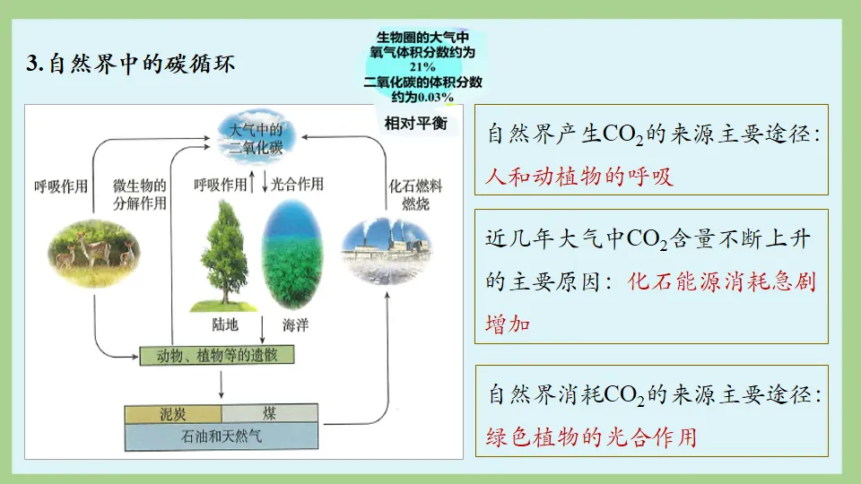 中考化学:一目了然碳氏家族 ! 第72张