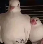 北师真题+答案火热售卖中,满屏好评!!! 第4张