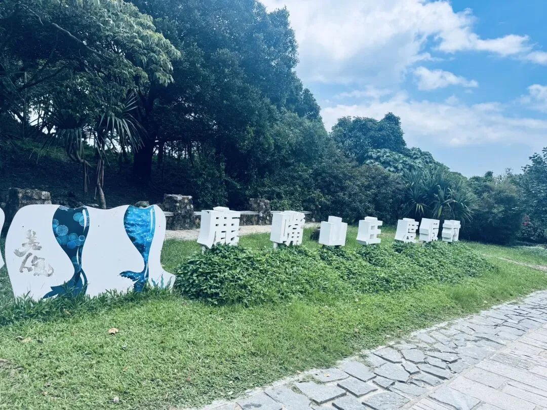 中考志愿开填,我人却在大鹏团建……(含泪分享) 第7张 中考志愿开填,我人却在大鹏团建……(含泪分享) 第7张