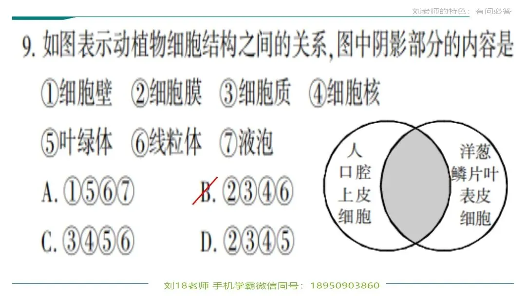 生物中考“最后冲刺复习”七个主题选择判断题+材料分析填空题练习pptx课件 主题一生物体的结构层次 部分截图 第3张