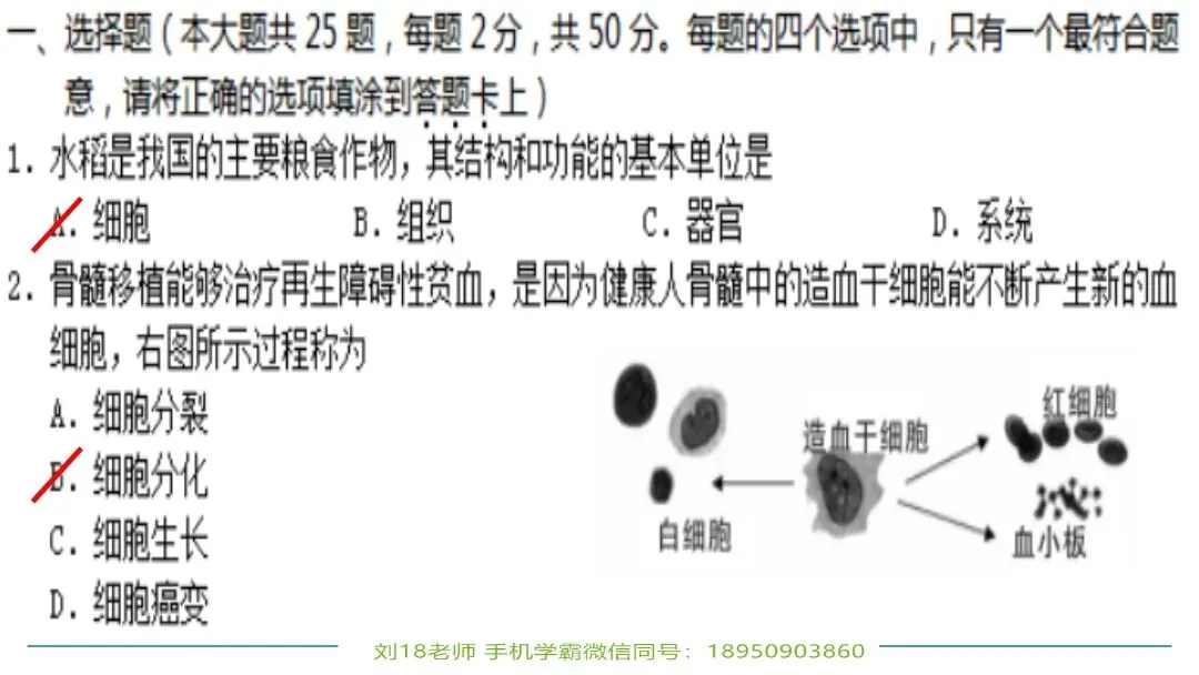 生物中考“最后冲刺复习”七个主题选择判断题+材料分析填空题练习pptx课件 主题一生物体的结构层次 部分截图 第5张
