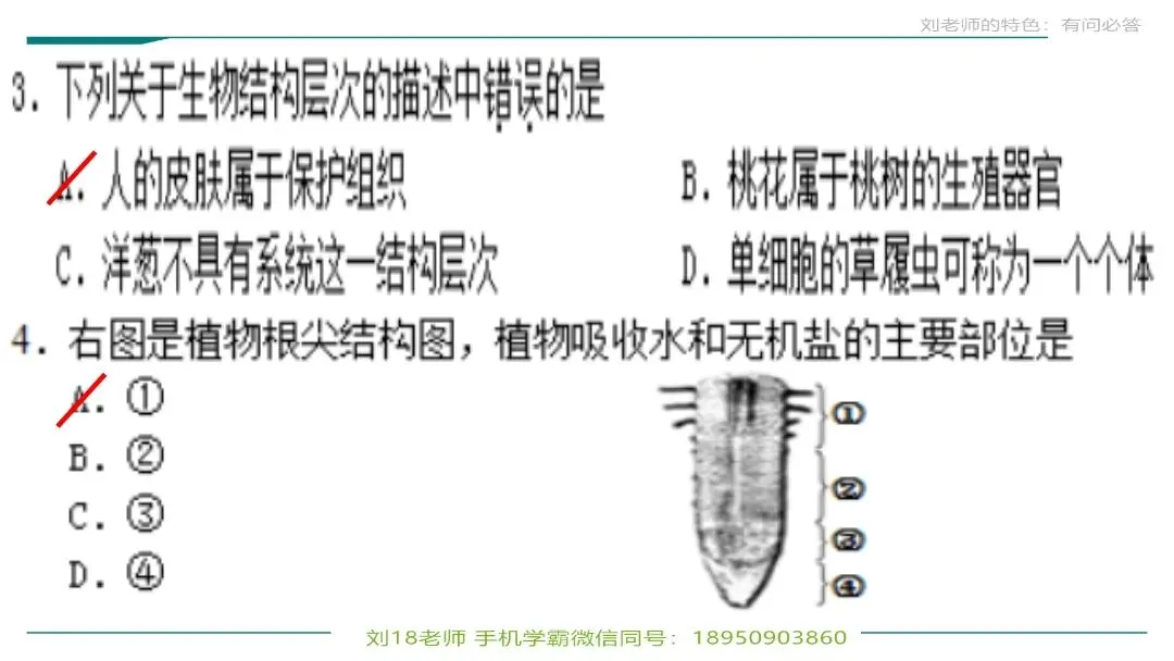 生物中考“最后冲刺复习”七个主题选择判断题+材料分析填空题练习pptx课件 主题一生物体的结构层次 部分截图 第6张