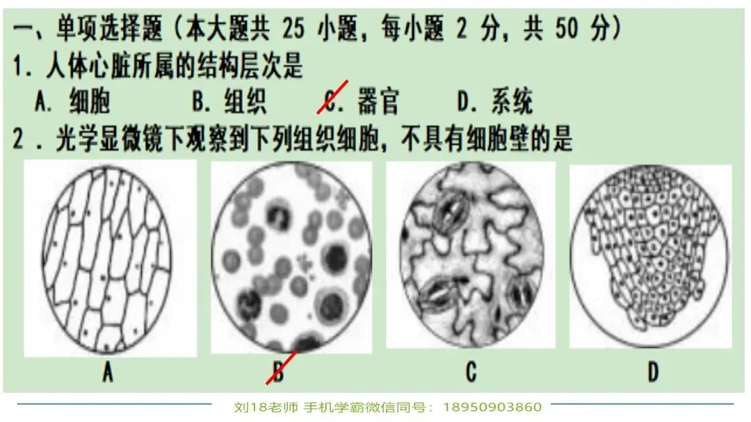 生物中考“最后冲刺复习”七个主题选择判断题+材料分析填空题练习pptx课件 主题一生物体的结构层次 部分截图 第7张