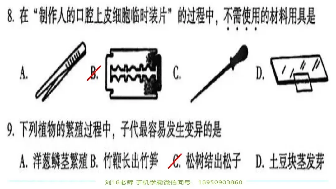 生物中考“最后冲刺复习”七个主题选择判断题+材料分析填空题练习pptx课件 主题一生物体的结构层次 部分截图 第8张