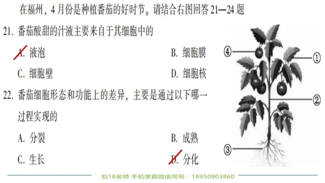生物中考“最后冲刺复习”七个主题选择判断题+材料分析填空题练习pptx课件 主题一生物体的结构层次 部分截图 第9张