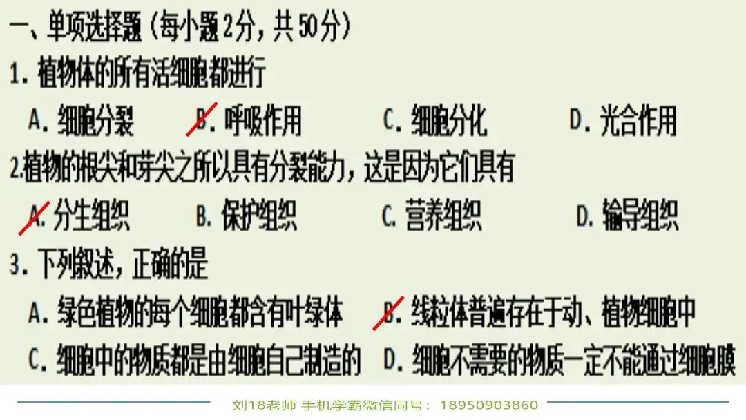 生物中考“最后冲刺复习”七个主题选择判断题+材料分析填空题练习pptx课件 主题一生物体的结构层次 部分截图 第10张