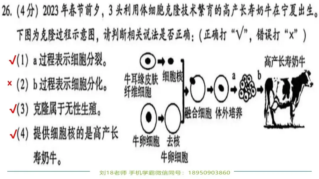 生物中考“最后冲刺复习”七个主题选择判断题+材料分析填空题练习pptx课件 主题一生物体的结构层次 部分截图 第11张