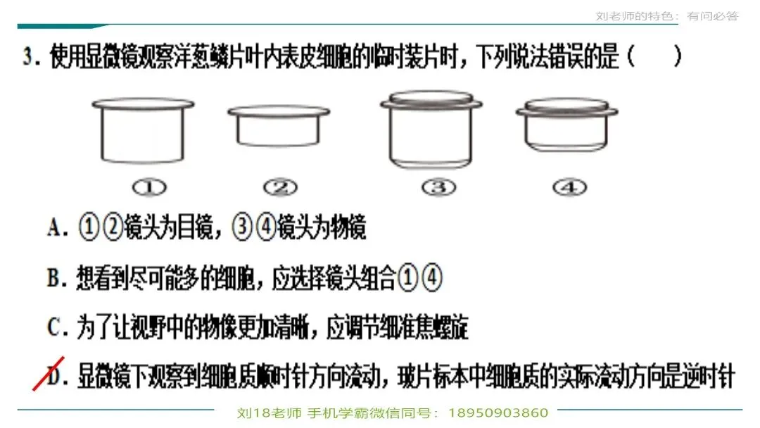 生物中考“最后冲刺复习”七个主题选择判断题+材料分析填空题练习pptx课件 主题一生物体的结构层次 部分截图 第15张