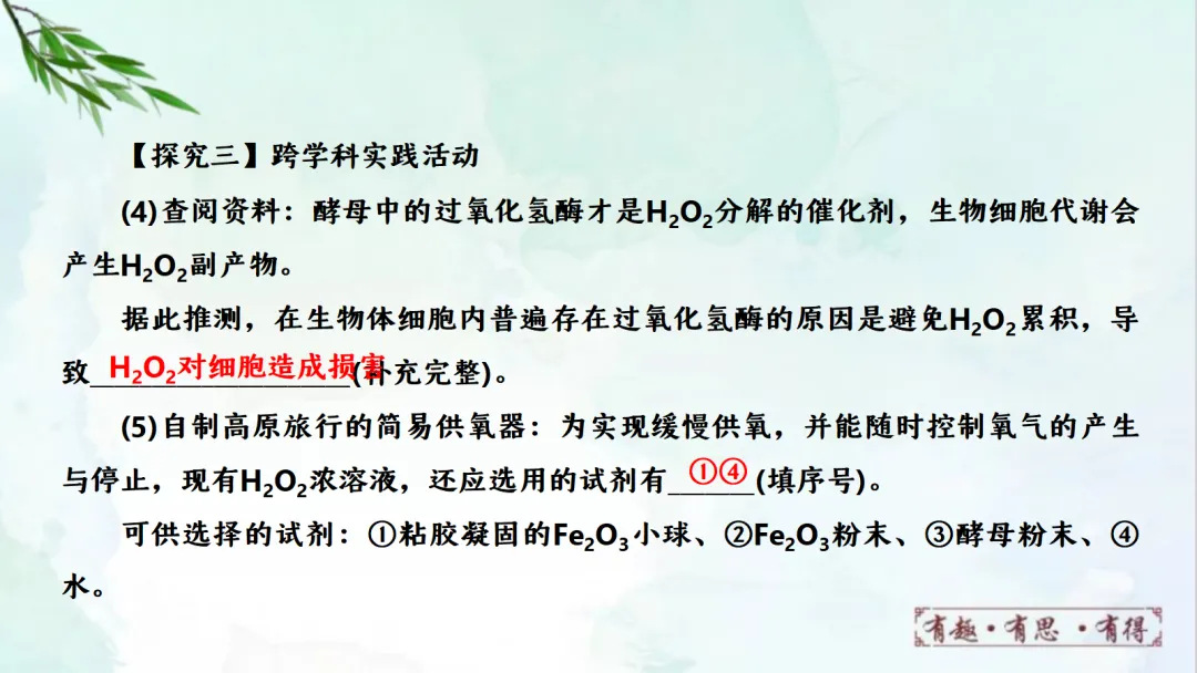 E14 二轮专题复习 决胜中考2026 优质课资源包 初中化学《专题复习---科学探究 实验探究题》课件PPT+教学设计Word 第16张