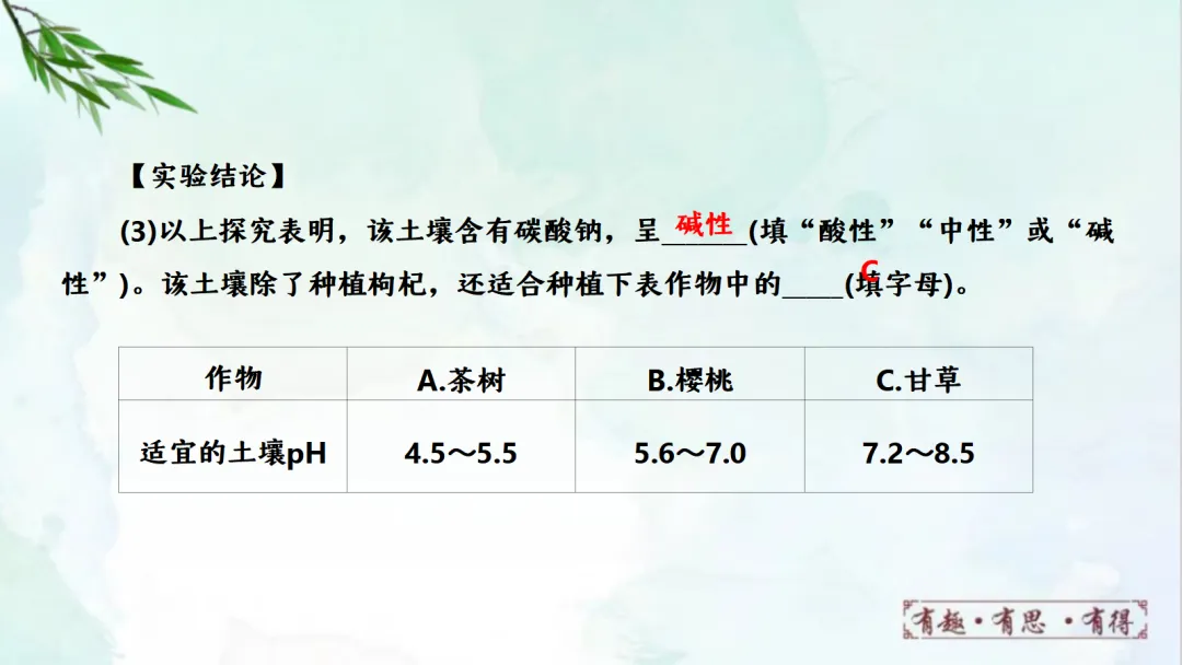 E14 二轮专题复习 决胜中考2026 优质课资源包 初中化学《专题复习---科学探究 实验探究题》课件PPT+教学设计Word 第46张