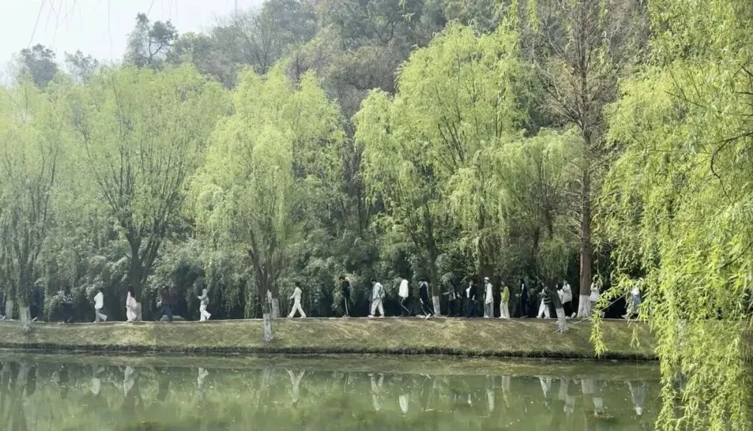 TOP艺术·端午之旅:中考蓄力毕业展研学,专业试学探寻艺术本心 第4张
