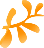 速看!济外模拟考等你来挑战! 第4张