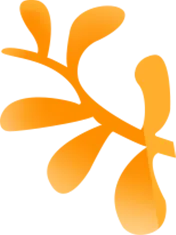 速看!济外模拟考等你来挑战! 第5张