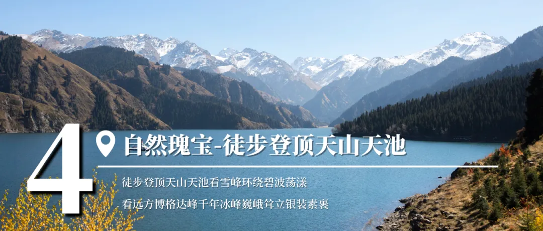 【2026中考结束就出发】新疆天山伊犁探索营 | 探索北疆伊犁草原风光,哈萨克牧民生活体验,感受赛里木湖自然风光,登天山天池-第7张图片-四季读书网 【2026中考结束就出发】新疆天山伊犁探索营 | 探索北疆伊犁草原风光,哈萨克牧民生活体验,感受赛里木湖自然风光,登天山天池-第7张图片-四季读书网