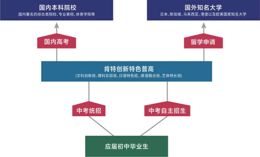 选对高中,改变一生!中考志愿填报倒计时,选择决定孩子未来高度 第30张 选对高中,改变一生!中考志愿填报倒计时,选择决定孩子未来高度 第30张
