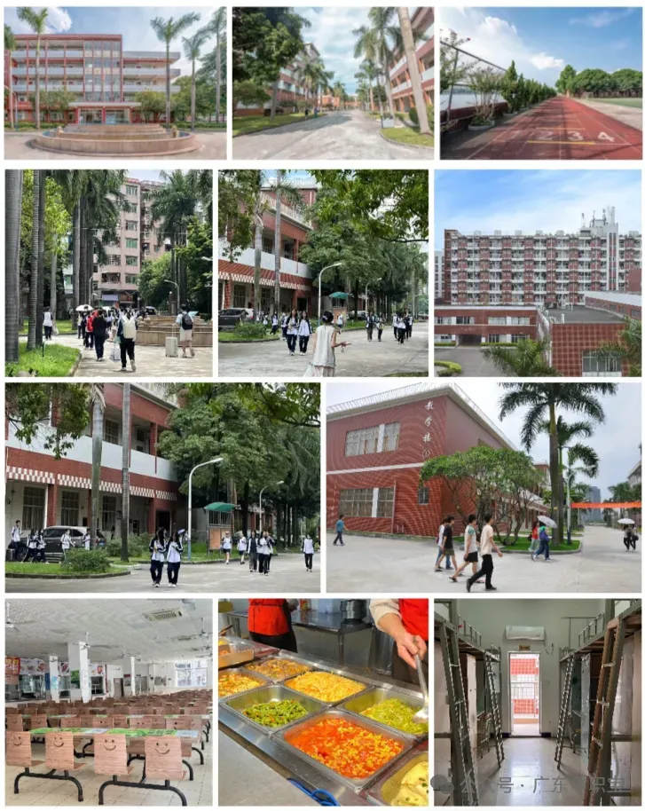 2026年3+证书高职高考【语数英】真题,来测测你能考几分?(附答案解析) 第53张 2026年3+证书高职高考【语数英】真题,来测测你能考几分?(附答案解析) 第53张