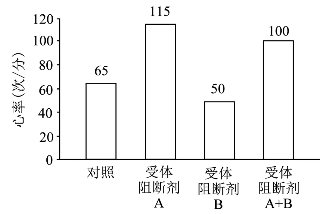 2024高考生物真题 河北卷 解析版 第13张