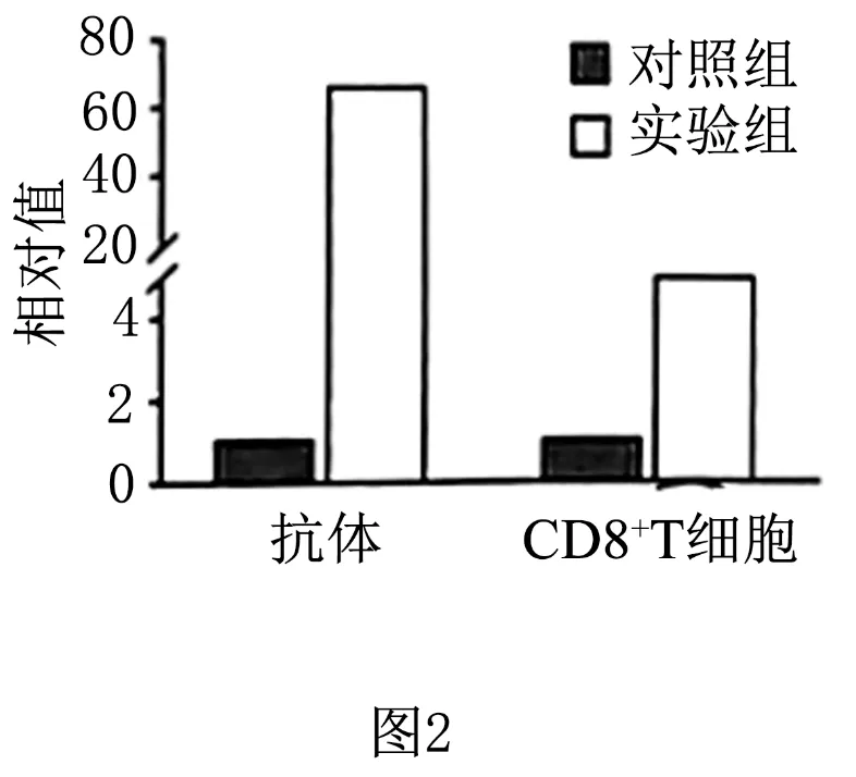 2024高考生物真题 河北卷 解析版 第20张