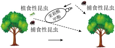 【广东模考真题汇编】中考语文冲刺专题五:图文转换① 第14张