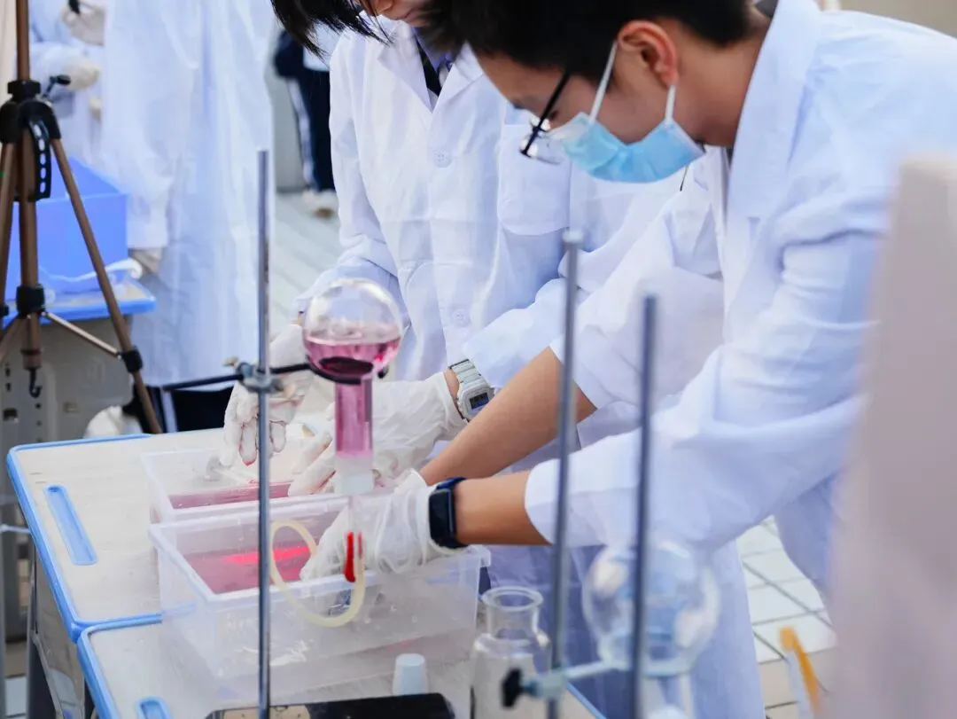 中考填志愿避坑!如何看穿学校真实办学实力? 第15张 中考填志愿避坑!如何看穿学校真实办学实力? 第15张