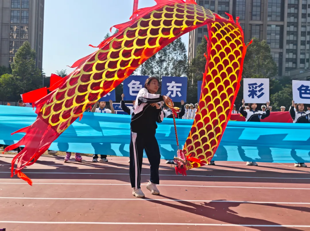 中考填志愿避坑!如何看穿学校真实办学实力? 第19张 中考填志愿避坑!如何看穿学校真实办学实力? 第19张